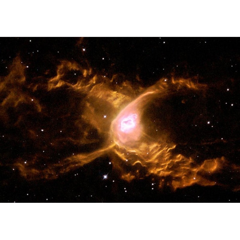 Web Spins into Giant...