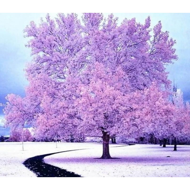 Tree Beauty Painting...