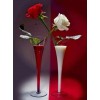 Red & White Roses