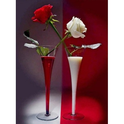 Red & White Roses