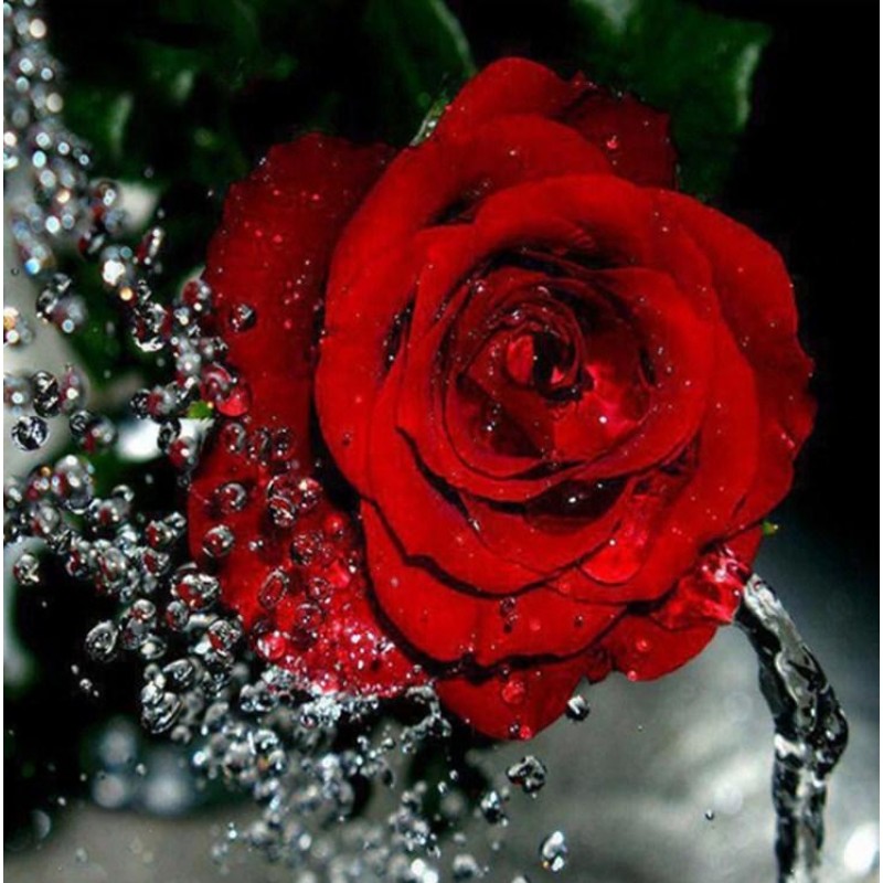 Water Splashing on R...