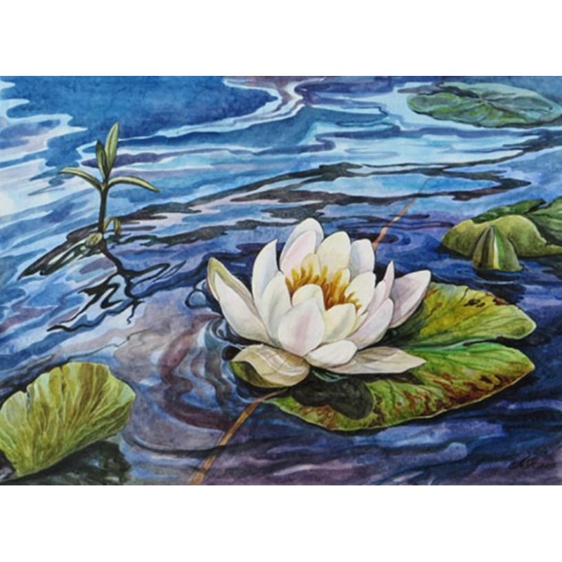 Water Lilly - Diamon...