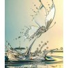 Water Butterfly Painting Kit