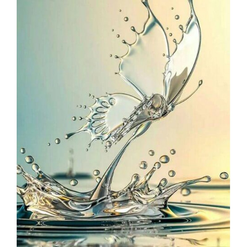 Water Butterfly Pain...
