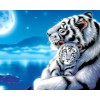 Warm Hug DIY Diamond Painting