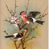 Vintage Birds Painting Kit