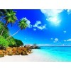 Palm Trees & Blue Ocean