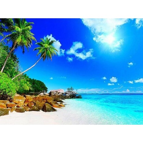 Palm Trees & Blue Ocean