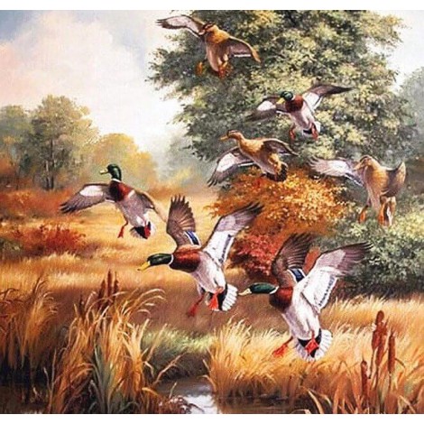 Flying Ducks Diamond Painting