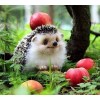 Happy Hedgehog Painting Kit