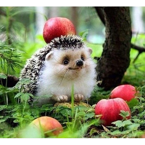 Happy Hedgehog Painting Kit