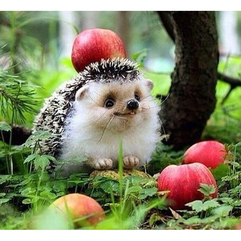 Happy Hedgehog Paint...