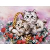 Kittens Basket