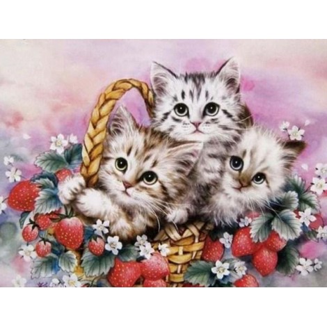 Kittens Basket
