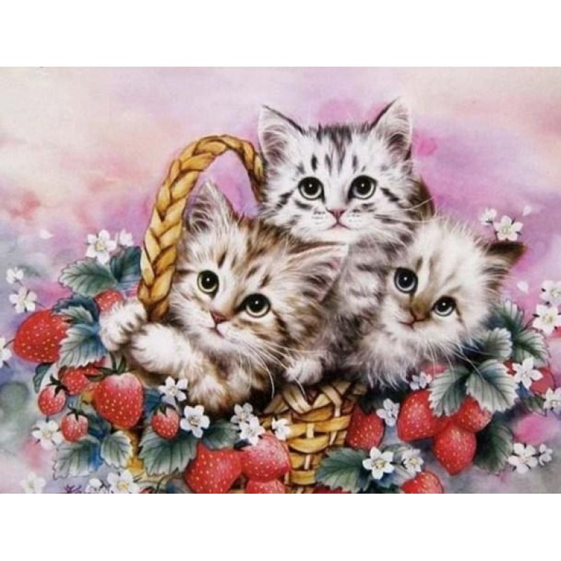 Kittens Basket