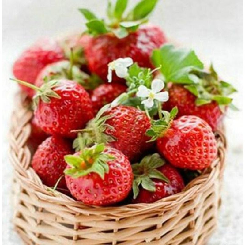 Strawberry Basket Fu...
