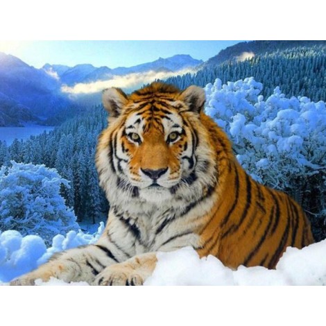 Tiger in the Snow Painting Kit