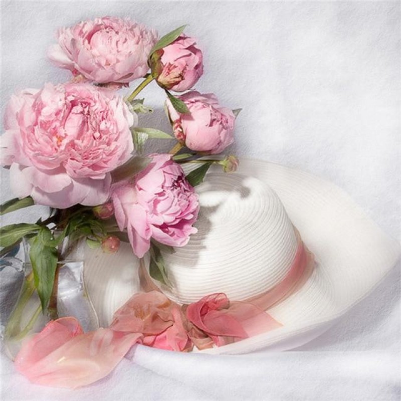 Variety of Flowers C...