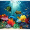 Turtles & Fish in the Water