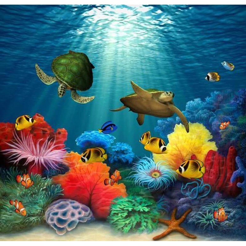 Turtles & Fish i...