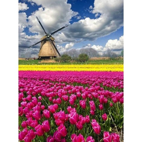 Tulip Garden & Windmill Diamond Painting