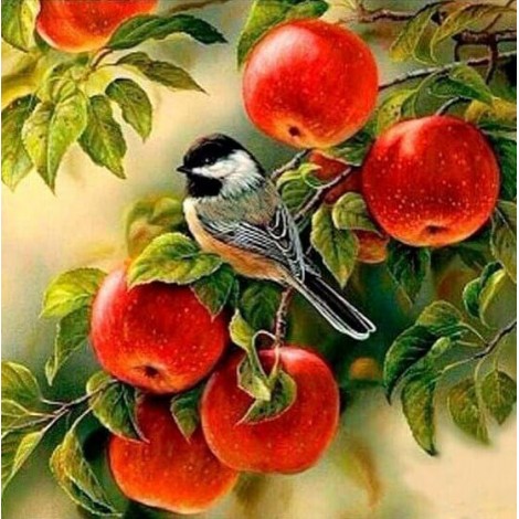 Sparrow Sitting on Apple Tree