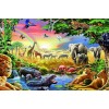 Forest Animals & Birds Painting