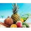 Tropical Fruits - Paint by Diamonds
