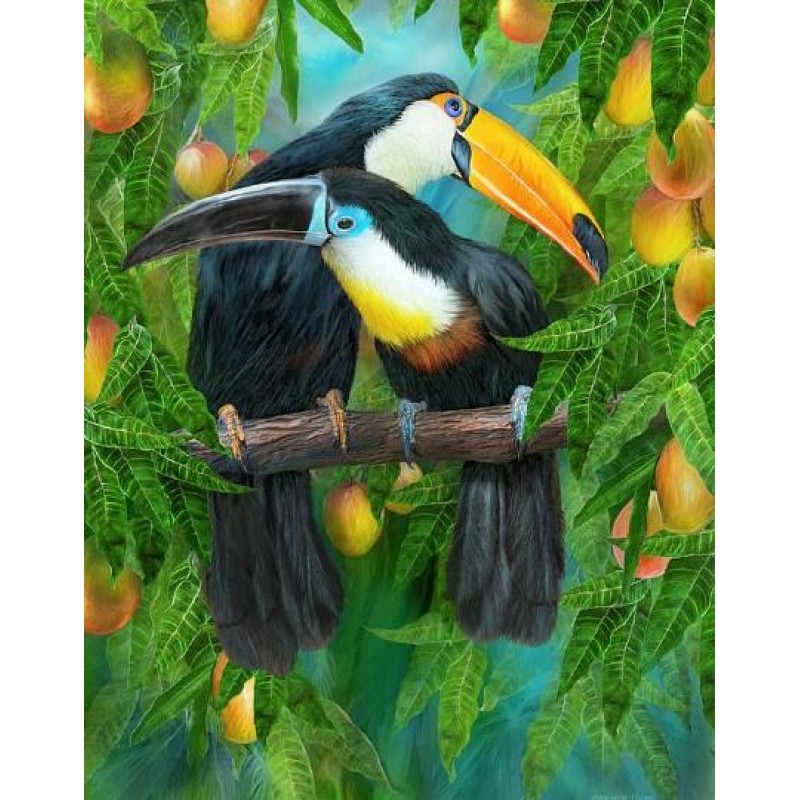 Tropic Spirits - Tou...