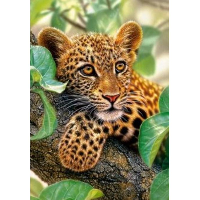 Tree Hugger Leopard ...
