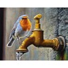 Sweet Bird & Water Tap