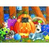 Cats & Pumpkin - Halloween