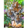 Tiger & Adorable Cubs Diamond Painting