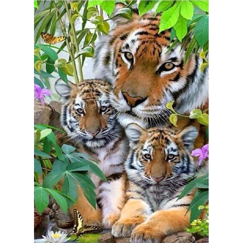 Tiger & Adorable...