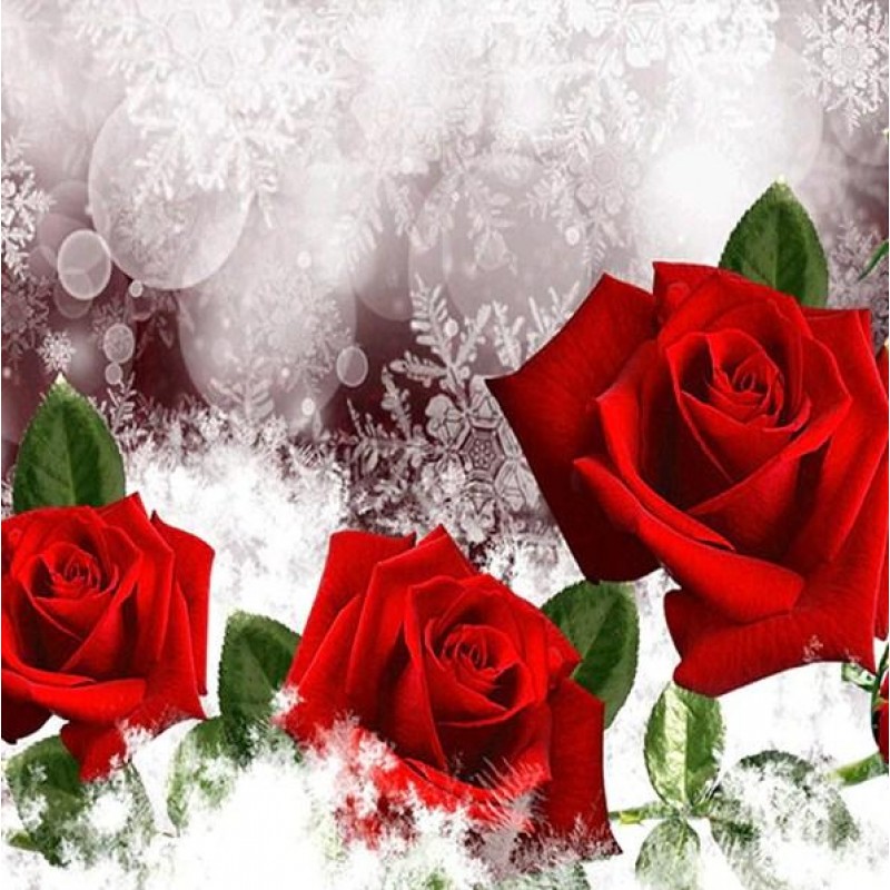 Three Red Roses Diam...