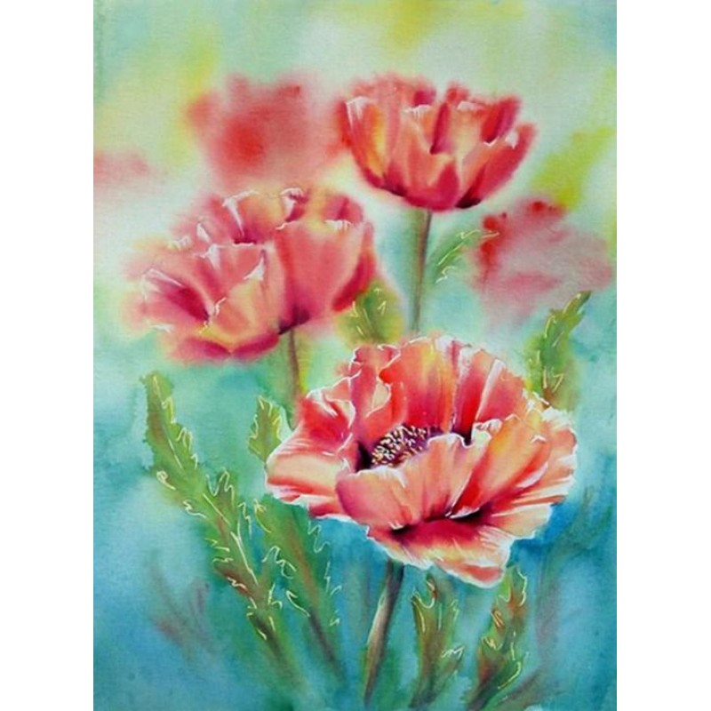 Three Poppy Flowers ...