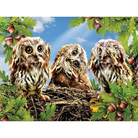 Three Owls on the Tree Diamond Painting