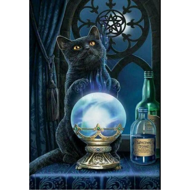 The Wizard Cat by Li...