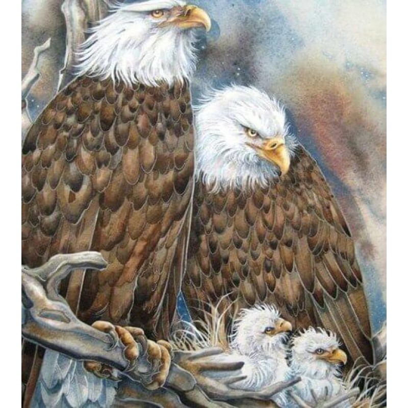 Eagle Family in the ...