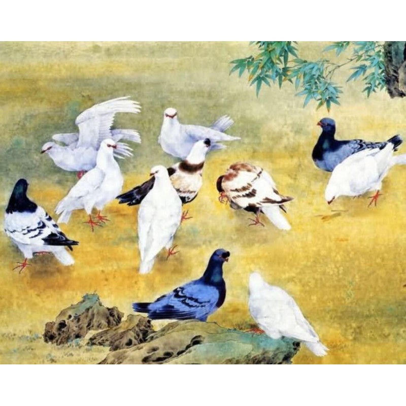 Pigeons Diamond Pain...