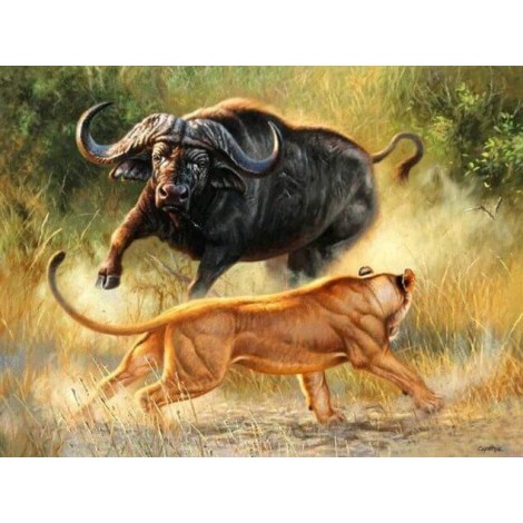 Lion & Bull Fight