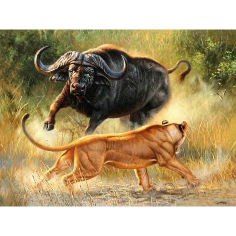 Lion & Bull Figh...