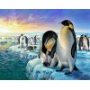 Penguins Family in Iceland