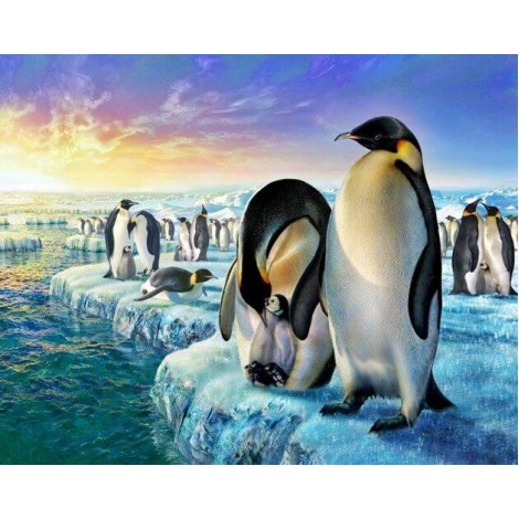 Penguins Family in Iceland