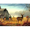 The Deer Diamond Painting  Kit - [USA SHIPPING]