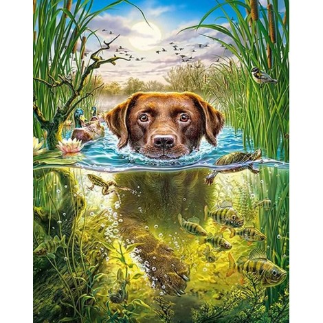 Swimmer Dog - Paint by Diamonds