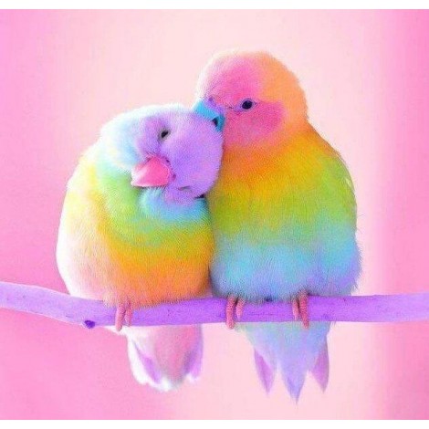 Sweet Birds Diamond Painting