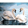 Swans Pair in Water Diamond Painting