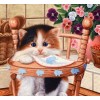 Super Cute Kitten & Flowers