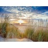 Sunset Landscape DIY Painting